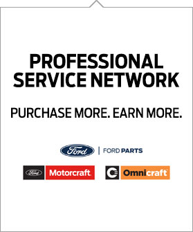 Professional Service Network